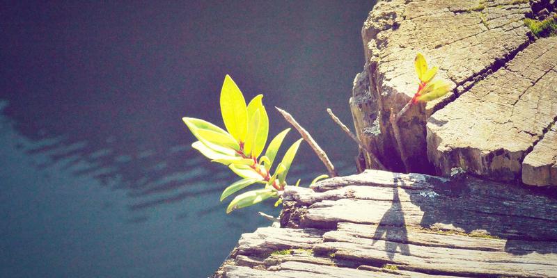 ICT创新驱动：台湾半导体制造业的5G专网与边缘计算落地效能深度解析