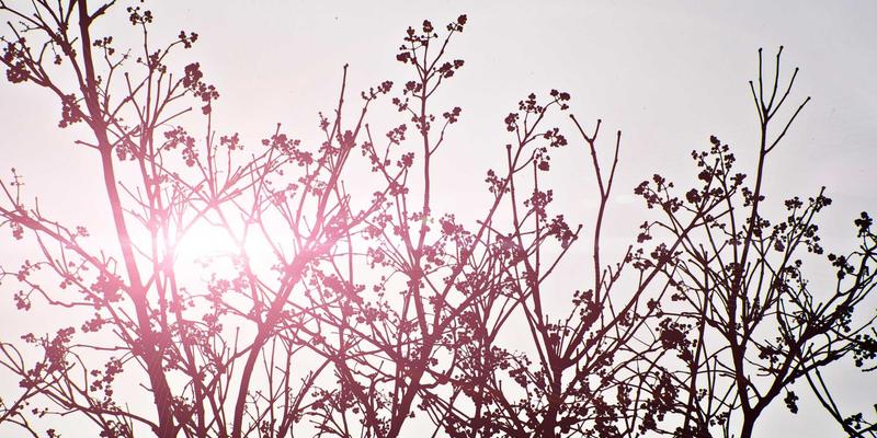 台湾三大科技园区产业生态解析：竹科、中科、南科的聚落差异与竞争优势