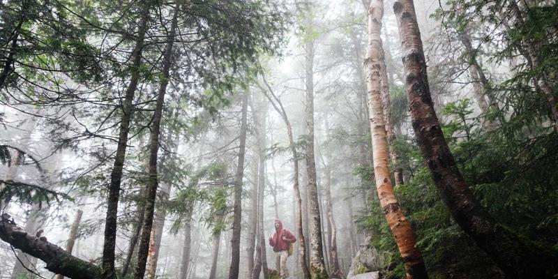 台湾半导体产业：全球ICT供应链的心脏与科技资讯焦点