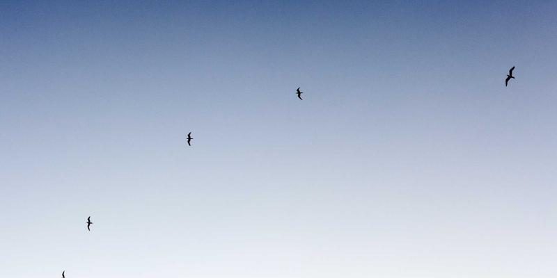 台湾半导体创新突围：边缘AI与类神经处理器如何重塑芯片设计新赛道