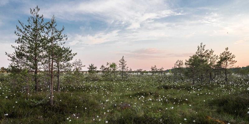 台湾太空科技产业发展政策与商业潜力探索：软件实力如何驱动新太空时代