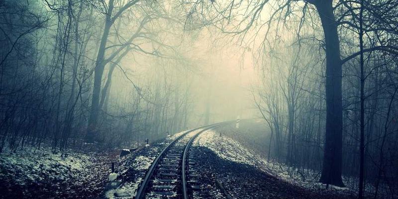 台湾机器人产业崛起：半导体优势驱动工业自动化与服务型机器人技术创新