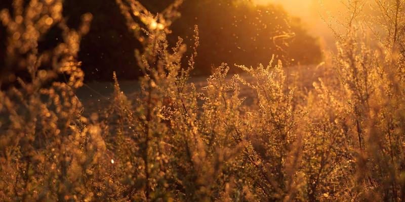 台湾电动车充电基础设施技术标准与智能电网整合策略：ICT科技驱动产业新动能