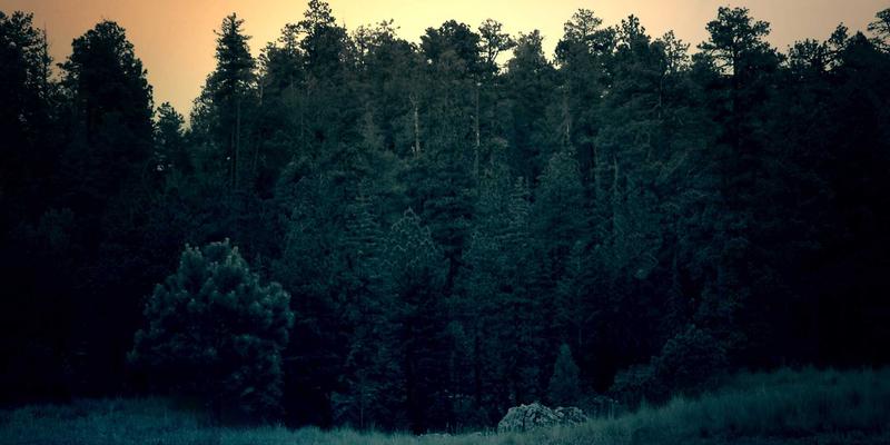 台湾科技产业动态聚焦：半导体引领创新，全球供应链角色深化