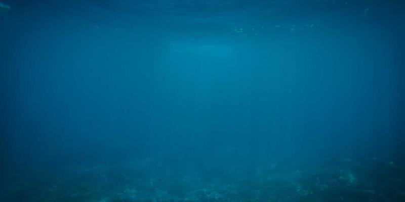 台湾科技人才培育体系解析：高等教育如何驱动软件产业动态发展