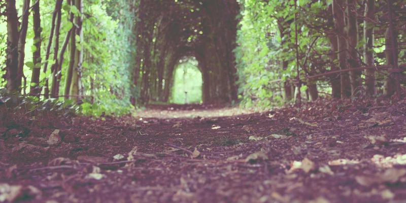 台湾科技新创的国际募资与并购策略：剖析成功案例与关键驱动因素