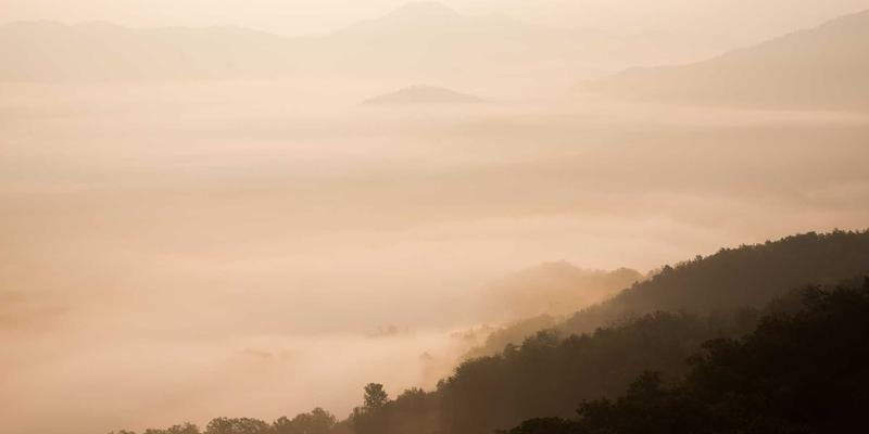 台湾科技新篇章：从半导体到金融科技监管沙盒的区块链与开放银行创新实验