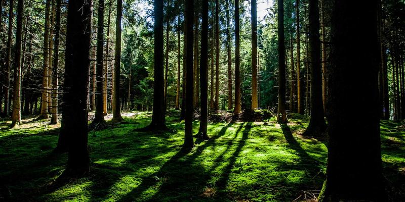 台湾科技最佳实践：半导体创新与硬件生态的全球典范
