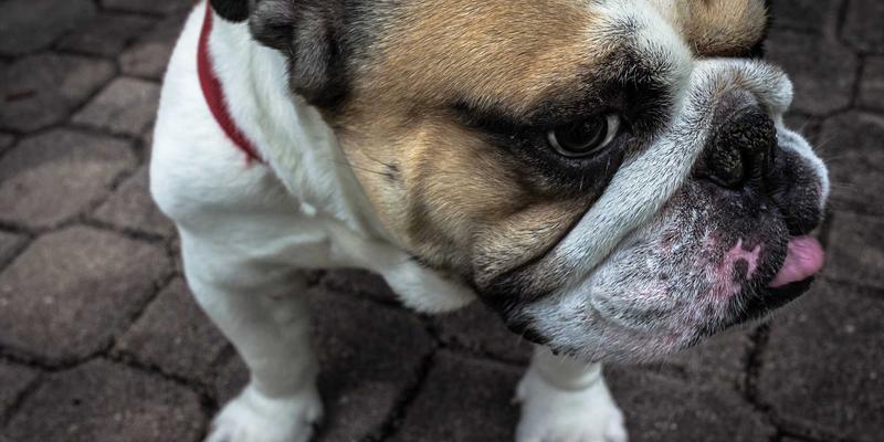 台湾量子科技发展蓝图：从学术研究到产业应用的硬件突破与挑战