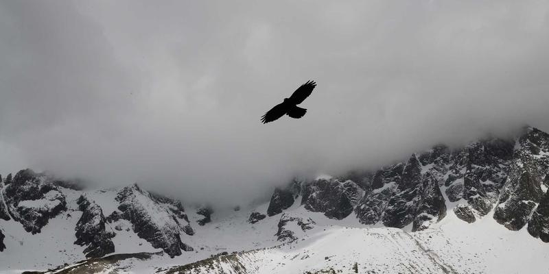 科技资讯聚焦：台湾生物科技与精准医疗产业的软件驱动创新突破