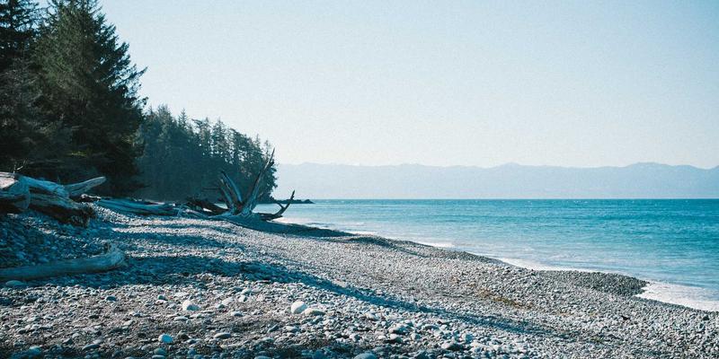 软件定义芯片时代：台湾IC设计公司的创新技术与市场竞争力深度解析